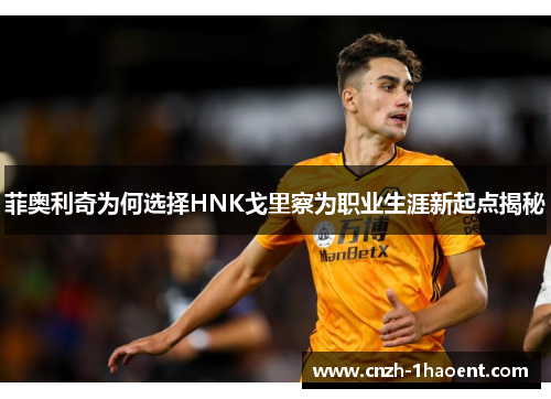 菲奥利奇为何选择HNK戈里察为职业生涯新起点揭秘 菲奥利奇为何选择HNK戈里察为职业生涯新起点揭秘