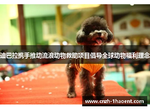 迪巴拉携手推动流浪动物救助项目倡导全球动物福利理念